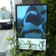 Image for article titled Japan Has Too Many Penguin Bars